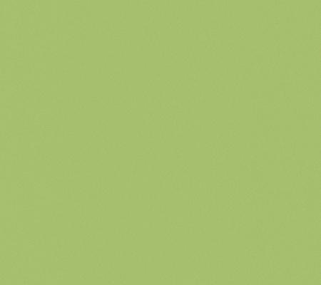 Gresie Casalgrande Padana Architecture Acid Green, Mat, Aspect Uni, 60x120cm