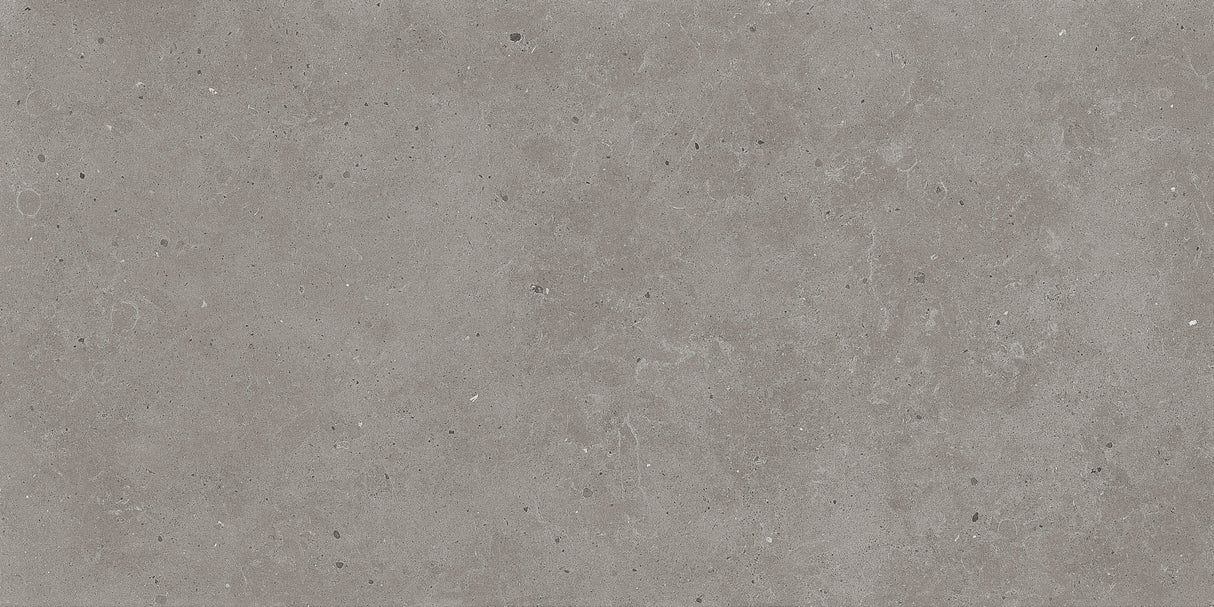 Gresie Fiandre, Fjord Grey Fjord, Aspect Piatra, Mat, 60x120